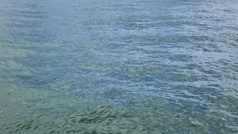 A serene river flowing through lush greenery in Hong Kong, with gentle ripples Stock Footage 338266527
