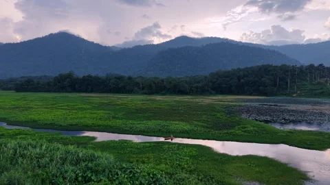 Serene river flowing through lush green fields with mountain range background Vídeos de archivo 344822939