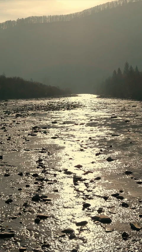 Serene River Flowing Through Misty Valley, A tranquil river reflecting soft Stock Footage 310553049