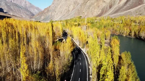 Serene river flows alongside a golden forest and a river in Ladakh captured by Stock Footage 310781921