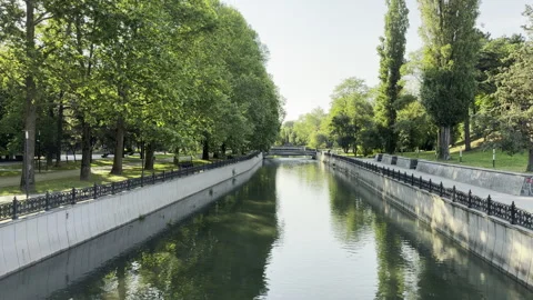 Serene river flows quietly through a lush green city park Stock Footage 336937080