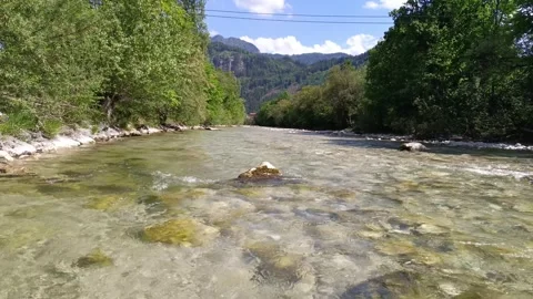 Serene river flows through greenery Stock-Footage 309024646