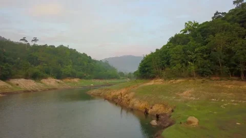 A serene river flows through a lush green forest landscape Stock Footage 312432703