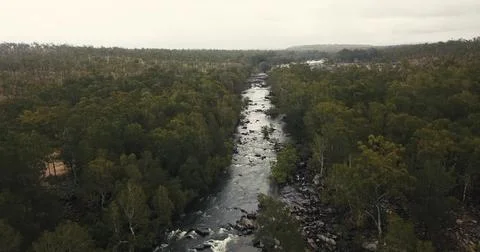 The Serene River Gently Flows Through the Lush Green Forest Surrounded by N.. Foto stock