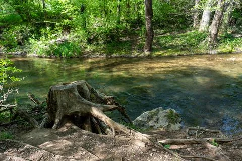 A serene river landscape with an ancient tree stump in the foreground Stock Photos