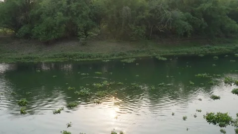 Serene River Landscape 库存影片 333924095
