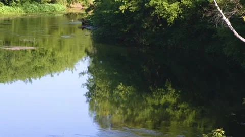 Serene River Reflection in Southern Urals, Russia Stock Footage 325358136