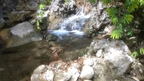 Serene River Stream in the Forest 스톡 동영상 335061368