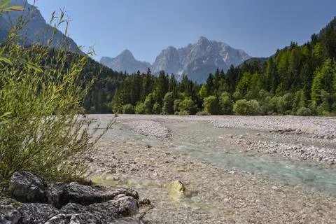 Serene River View Stock Photos