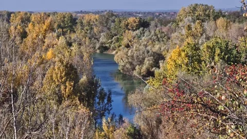 Serene river winding through a dense forest with trees in autumn colors. The vib Stock Footage 290189475