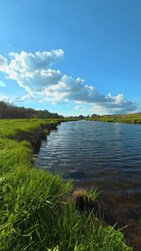 Serene river winds through vibrant green grasses. Black Rzav river. Vertical Stock-Footage 337482638