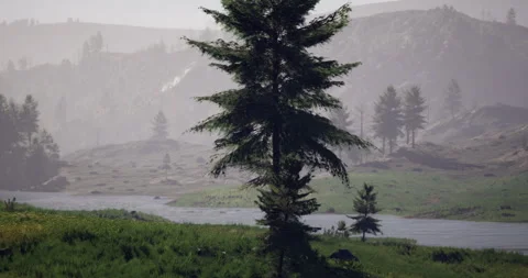 Serene riverbank with pine trees and misty mountains behind Video stock 306039701