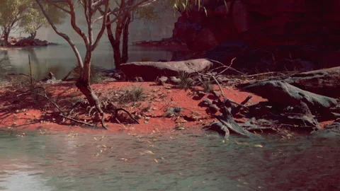 Serene Riverside Scene Capturing Natures Quiet Beauty in the Outback Video stock 344908963