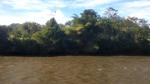 The Serene Riverside View Видео 335081738