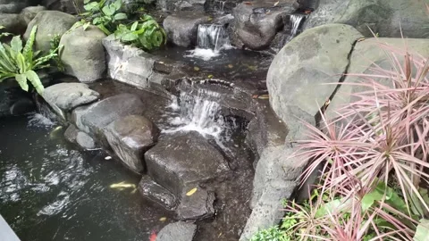 Serene rock waterfall with flowing water and lush, vibrant greenery. A tran.. Stock Footage 308262111