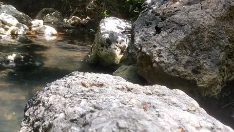 Serene Rocky Stream Stockbeeldmateriaal 332917735