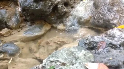 Serene Rocky Stream Stockbeeldmateriaal 333051333