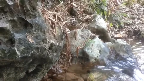 Serene Rocky Stream 스톡 동영상 334766928