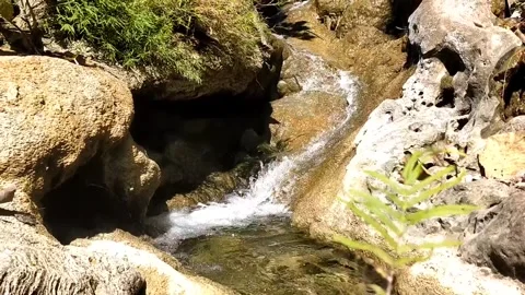 The Serene Rocky Stream 스톡 동영상 340017060