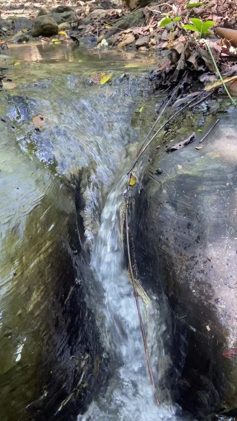 Serene Rocky Stream – Tranquil Waterfall Journey in Nature 스톡 동영상 309521774