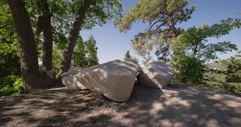 Serene Rocky View through Forest Trees in Daylight Stock Footage 323352684