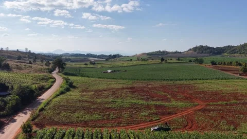 Serene Rural Landscape with Fields and Dirt Road Stock Footage 325686238