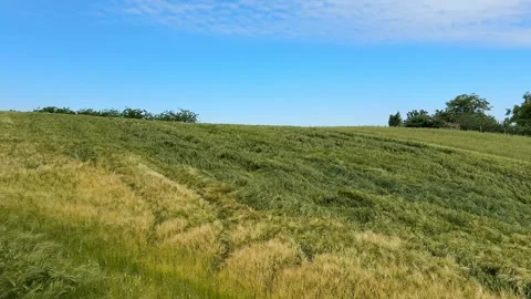 Serene Rural Landscape Stock Footage 313656675