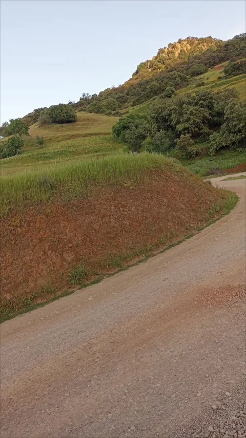 Serene Rural Mountain Path with Lush Green Slopes and Dirt Road Stock Footage 333531044