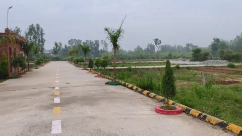 Serene Rural Roadside with Greenery 库存影片 340516679