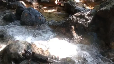 The Serene Rush Vidéo 333076816