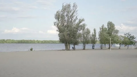 Serene Sandy Beach with Trees Under Clear Afternoon Sky | HLG Stock Footage 311898217