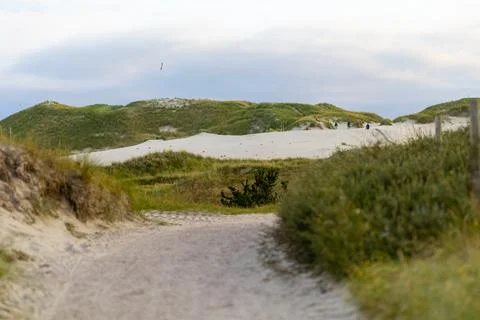 A serene sandy pathway leads through lush greenery to expansive dunes near .. Foto stock