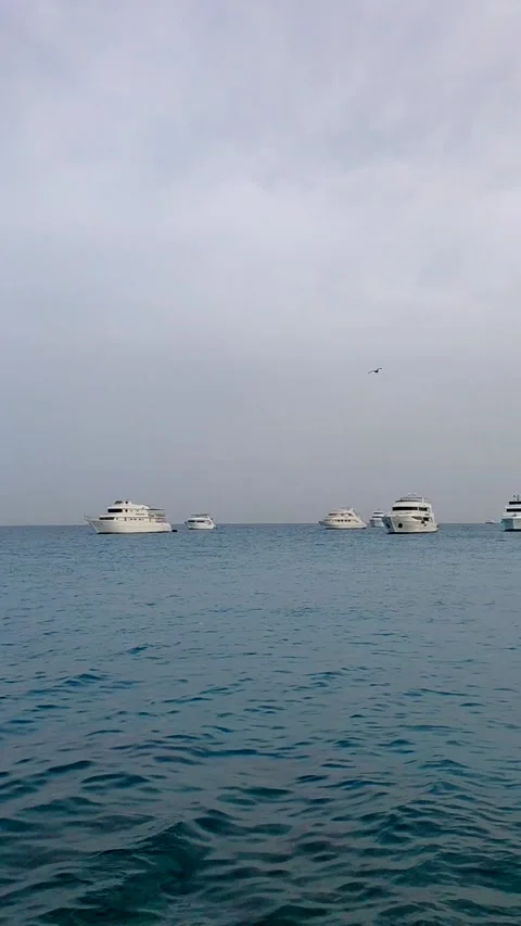 A serene scene on the Red Sea Stock Footage 336176963