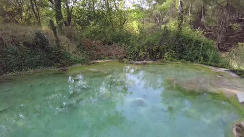 A serene scene of a small creek flowing through a vibrant, green forest. Stock Footage 317066655