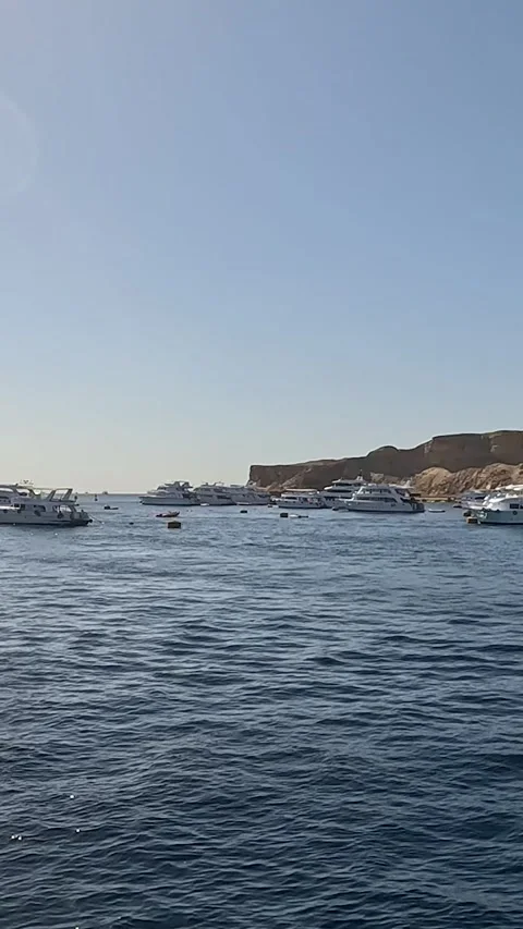 Serene Seascape Showcasing Multiple Yachts Anchored in a Calm Bay Against a Видео 331278226