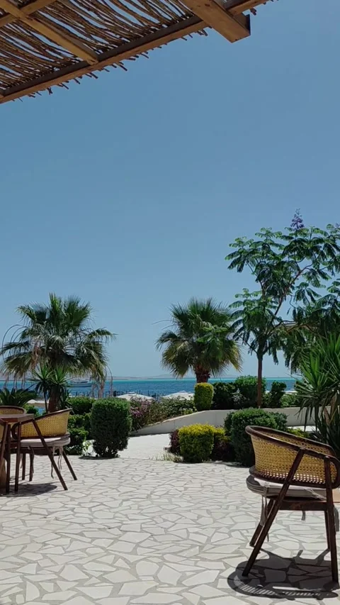 A serene seaside cafe terrace Stock Footage 335958654