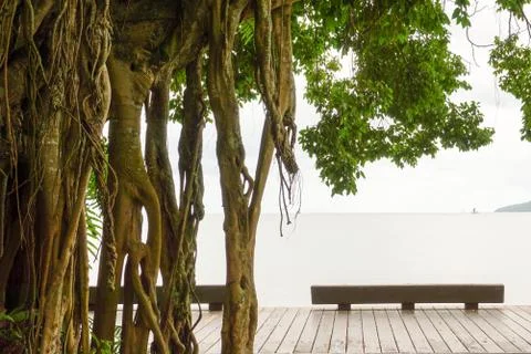 Serene Shot Of an Esplanade 库存照片