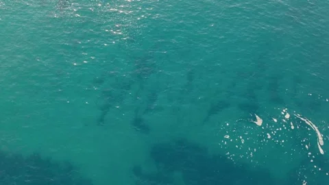 A Serene Sight of Malpica's Gentle Waves - Close Up Video stock 252833518