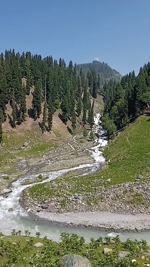 Serene Sind River Flowing Through Lush Green Stock Footage 337985111