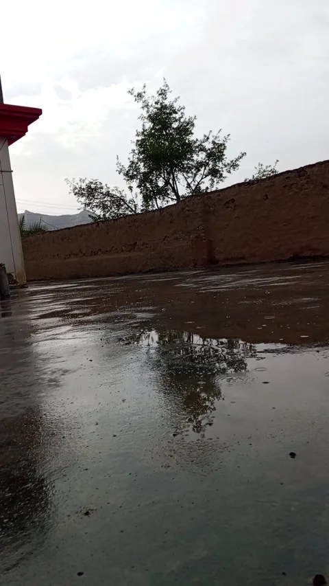 Serene Slow-Motion Rain Falling in Residential Area - 4K Relaxing Atmosphere Vídeos de archivo 331655625