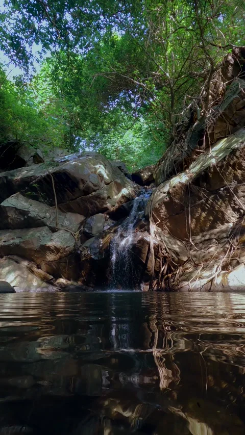Serene Small Waterfall Flowing into a Calm Pond with Water Reflection, Lush.. Stock-Footage 341111758