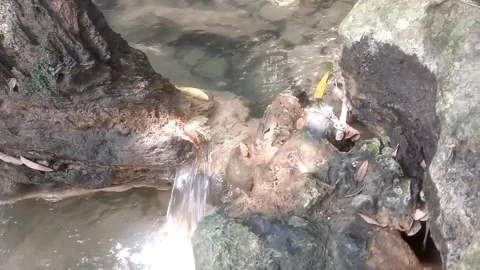Serene Small Waterfall in a Rocky Stream 库存影片 333076783