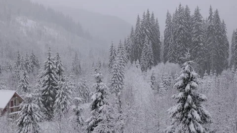 Serene Snow-Covered Forest Path. Heavy snow in Romania forest. Stock Footage 293467128