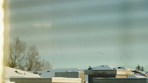 Serene Snow-Covered Rooftops Under Winter Sky Stock Footage 271200797