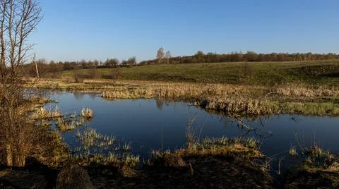 A serene spring landscape features a winding river surrounded by burnt grass  Stock Photos