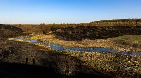 A serene spring landscape features a winding river surrounded by burnt grass  Stock Photos