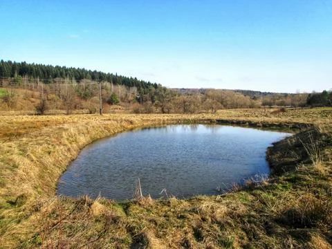 Serene Spring Pond Foto stock