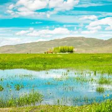 Serene spring reflection in Erzurum Plain, Turkey, for Earth Day content. Stock Photos