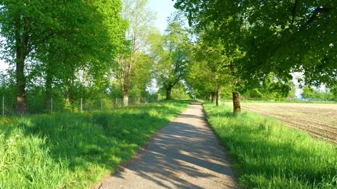 Serene Spring Stroll Through the Allgaeu Countryside with Fresh Green Trees, Stock Footage 309030968