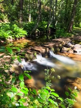 Serene Stone Path Crossing a Tranquil Stream in Nadais Stock Photos
